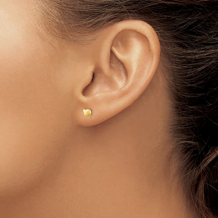 Mini Gold Turtle Studs