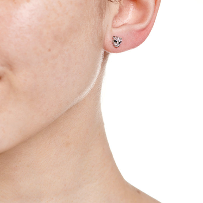 Jaguar Studs
